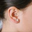 Pearl Stud Earrings