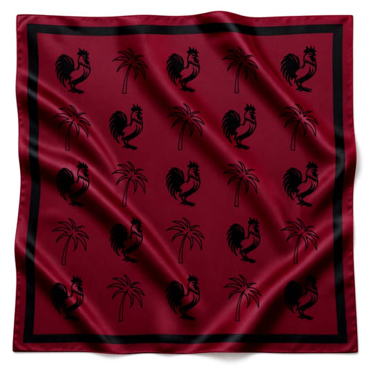 Gameday Scarf • Gamecock