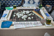 Heritage Mahjong Tiles