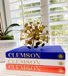 The Blank Book | Clemson