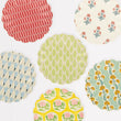 Meri Meri x Molly Mahon • Reusable Plates