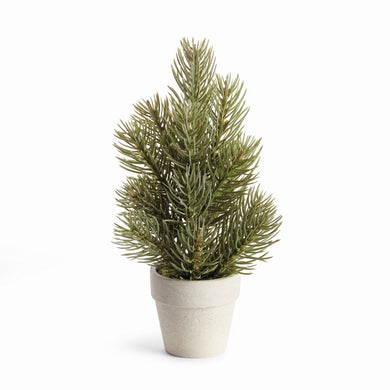 MINI PINE TREE POTTED DROP-IN 9