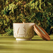 Citronella Grove Candle | Medium