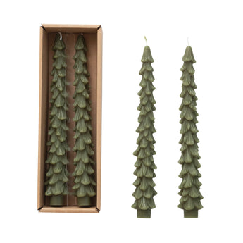 Tree Taper Candles | Evergreen