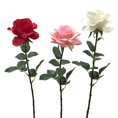 Single Rose Stem