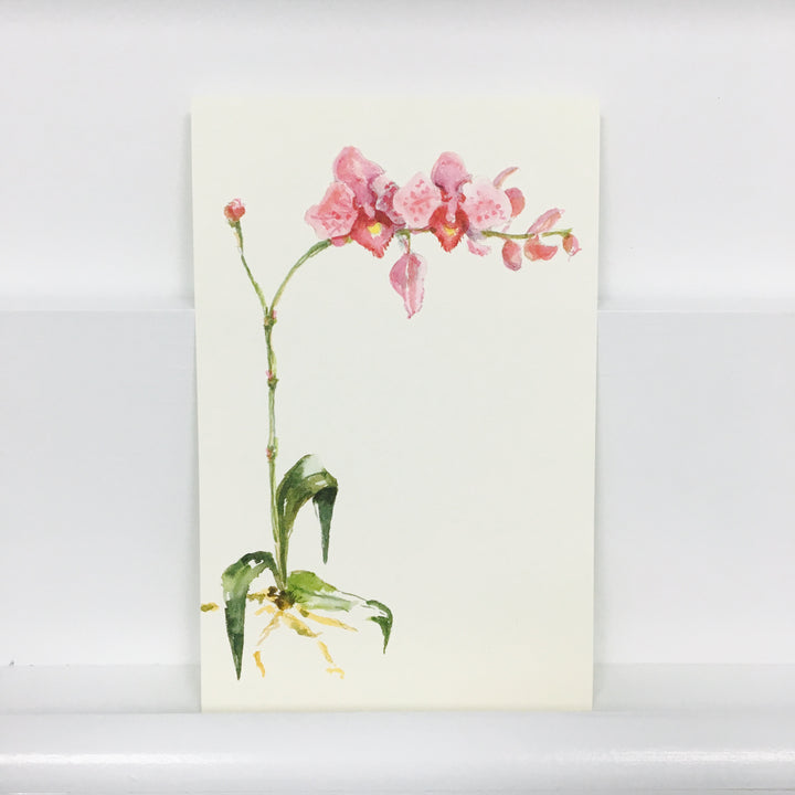 Orchid Invitation