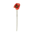 Poppy Stem