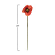 Poppy Stem