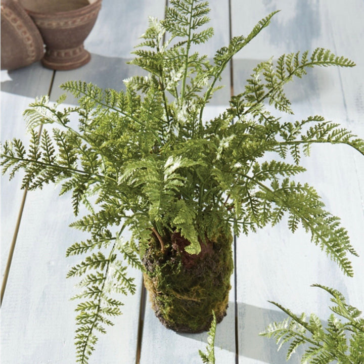 Soft Fern Drop-in